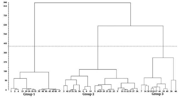 Dendrogram of passport data of mamey sapote (Pouteria sapota [Jacq.] H. E. Moore & Steam) using climatic variables.