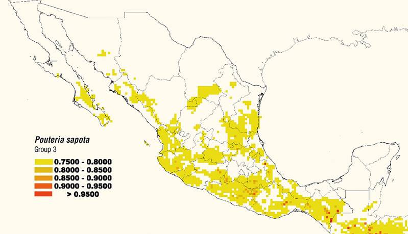 Estimated distribution map of Group 3 [climate A(C)(W) of mamey sapote (Pouteria sapota [Jacq.] H. E. Moore & Steam) in Mexico.