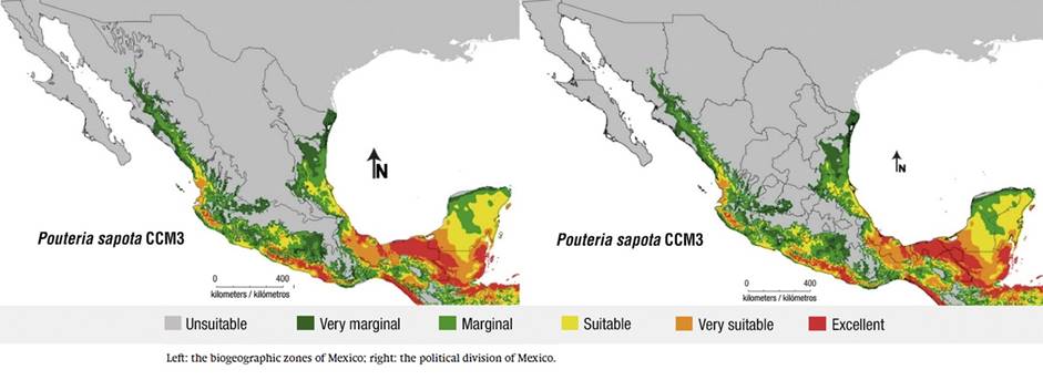 Eco-Crop model for mamey sapote (Pouteria sapota [Jacq.] H. E. Moore & Steam) in Mexico, with current data.