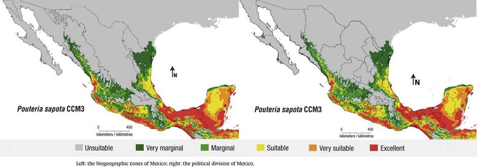 Eco-Crop model for mamey sapote (Pouteria sapota [Jacq. ] H. E. Moore & Steam) in Mexico, with simulated climate change.