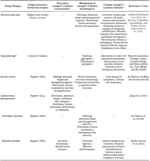 Morphological and cellular alterations of hyphae and conidia of various postharvest fungi after chitosan-treated.
