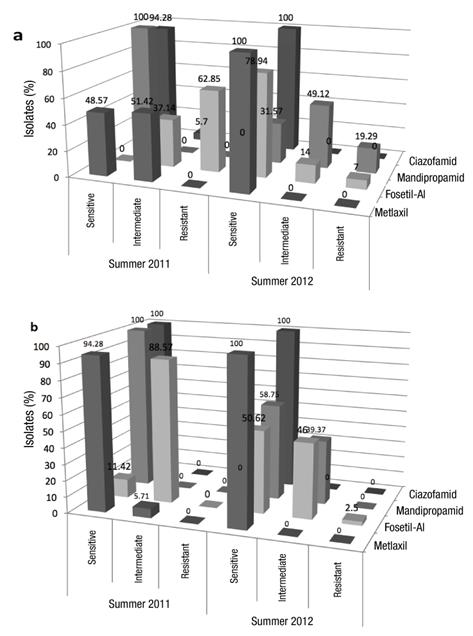 Percentage of sensitive, intermediate and resistant P. infestans isolates to the fungicides in vitro with respect to the control (100%): a) 0.1 mg∙L-1; b) 10 mg∙L-1.