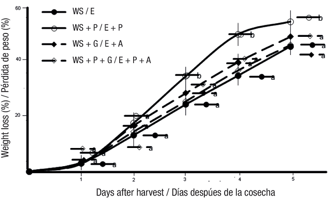 Weight loss in fruits of rambutan trees subjected to different agronomic management systems. WS = water stress, P = pruning and G = girdling. Means with the same letter within each series do not differ statistically (Tukey, P &le; 0.05).