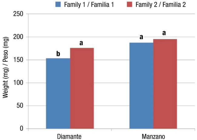 Weight of 100 Seeds (W100S) from the two families of the Diamante and Manzano Tepetlixpa varieties manually pollinated on five different days. Within each variety, bars with the same letter do not differ statistically (Tukey, α &le; 0.05).