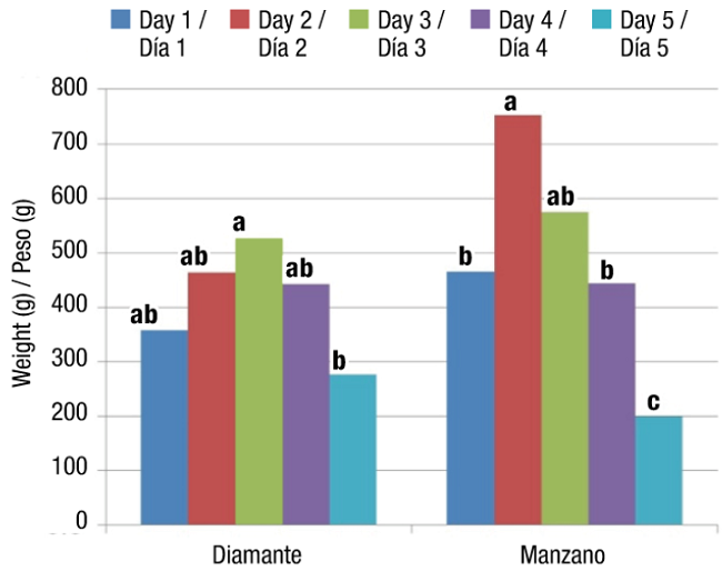 Fruit weight (FW) of the Diamante and Manzano Tepetlixpa tomatillo varieties manually pollinated on five different days. Within each variety, bars with the same letter do not differ statistically (Tukey, α &le; 0.05)