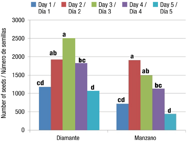 Total number of seeds (TNS) of the Diamante and Manzano Tepetlixpa tomatillo varieties manually pollinated on five different days. Within each variety, bars with the same letter do not differ statistically (Tukey, α &le; 0.05).