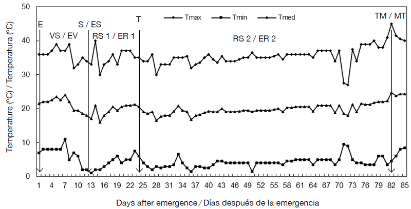 Air temperature recorded during the growing season under greenhouse conditions. Chapingo, Mexico Autumn-winter cycle, 2008-2009. The arrows indicate the emergence (E), stolon (S), tuberization (T) and physiological maturity of the tuber (TM) initiation phases, and the intervals between them the vegetative (VS), initial reproductive (RS 1) and final reproductive (RS 2) stages. Average values of four varieties. 