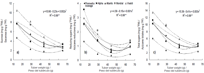 Relationship between the content of sucrose (a), reducing sugars (b) and total sugars (c) and tuber size in four potato varieties under greenhouse conditions. Chapingo, Mexico. Autumn-winter cycle, 2008-2009. The regression model represents the average of the varieties.