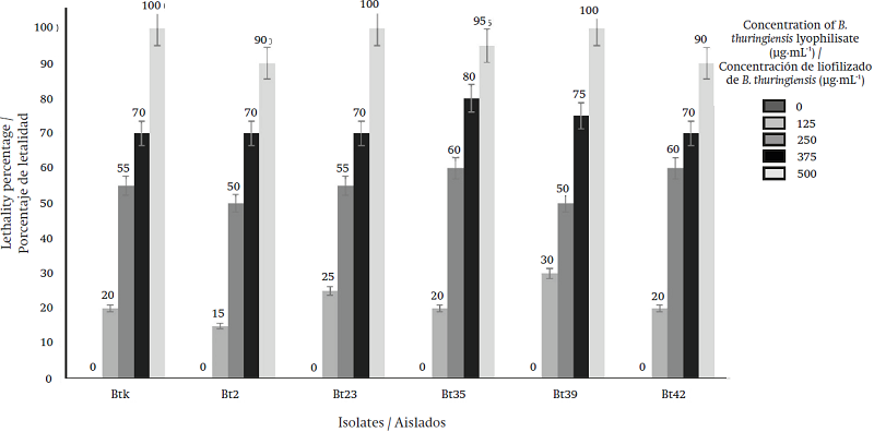 Lethality results of the isolates (Bt2, Bt23, Bt35, Bt39 and Bt42) and the control B. thuringiensis (Btk) at different concentrations on M. gagates after seven days of exposure.