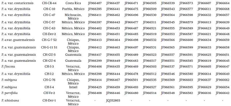 Fundaci&oacute;n Salvador S&aacute;nchez Col&iacute;n-CICTAMEX collection accession number, place of origin and GenBank accession numbers of the species used in the analysis.