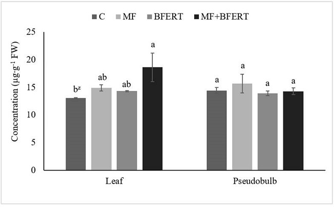 Concentration of total soluble proteins in leaves and pseudobulbs of Laelia anceps subsp. anceps at the end of the experiment, with different fertilization treatments: C = control, MF = mineral fertilization, BFERT = biofertilization and MF + BFERT = mineral fertilization supplemented with biofertilization, FW = fresh weight. zMeans with the same letters in each plant organ do not differ statistically (Tukey, P ≤ 0.05).