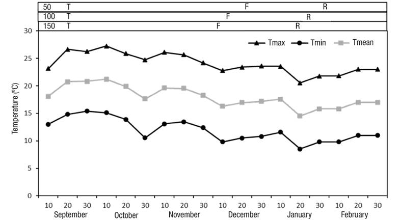 Ten-day averages of maximum (Tmax), minimum (Tmin) and mean (Tmean) temperatures during cape gooseberry crop development. T: transplant, F: flowering, R: ripeness.