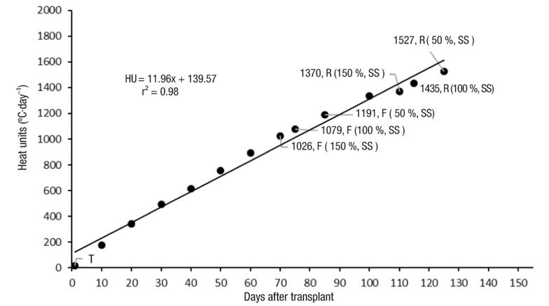 Heat units during cape gooseberry crop development. T: transplant, F: flowering, R: ripeness, SS: Steiner nutrient solution.