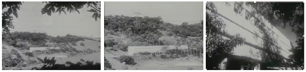 Painel (1950) - o Colégio de Cataguases