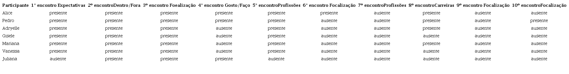 Participação e atividades em cada encontro
