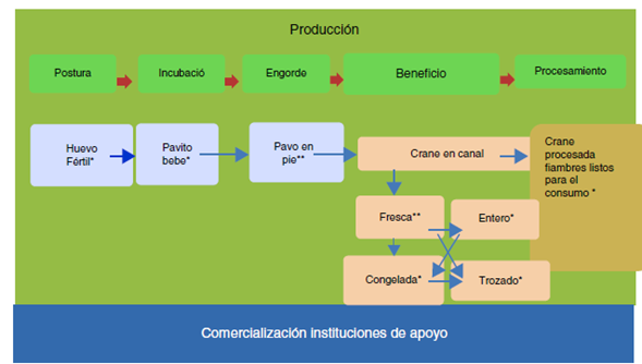 Cadena productiva del pavo.
