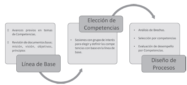 Fases del Sistema de Gesti&oacute;n por Competencia.