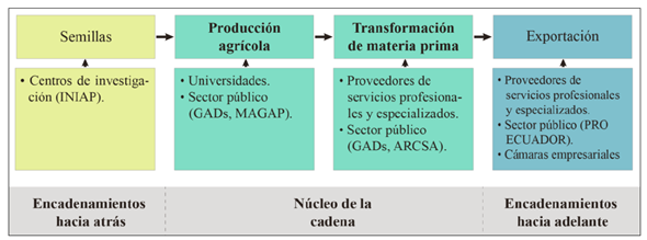 Organizaciones de apoyo a la cadena de valor