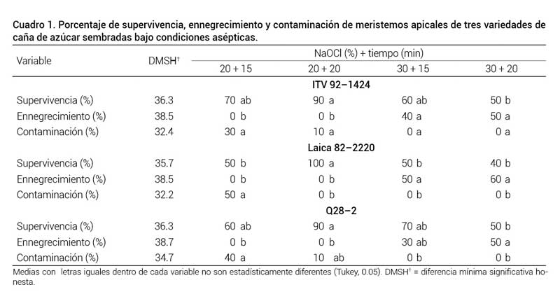 Cuadro 1. Porcentaje de supervivencia, ennegrecimiento y contaminación de meristemos apicales de tres variedades de caña de azúcar sembradas bajo condiciones asépticas.