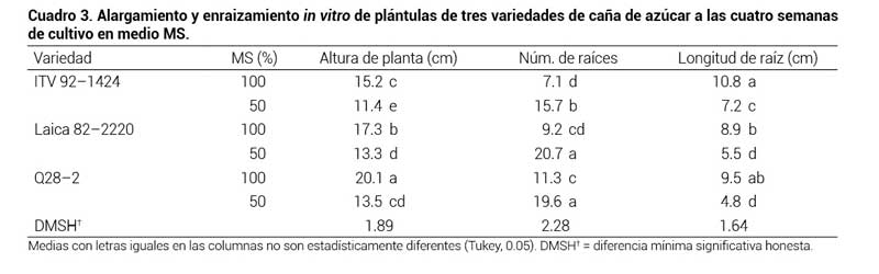 Cuadro 3. Alargamiento y enraizamiento in vitro de plántulas de tres variedades de caña de azúcar a las cuatro semanas de cultivo en medio MS.
