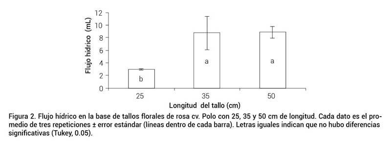 Figura 2. Flujo h&iacute;drico en la base de tallos florales de rosa cv. Polo con 25, 35 y 50 cm de longitud. Cada dato es el promedio de tres repeticiones &plusmn; error est&aacute;ndar (l&iacute;neas dentro de cada barra). Letras iguales indican que no hubo diferencias significativas (Tukey, 0.05).