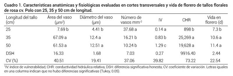 Cuadro 1. Caracter&iacute;sticas anat&oacute;micas y fisiol&oacute;gicas evaluadas en cortes transversales y vida de florero de tallos florales de rosa cv. Polo con 25, 35 y 50 cm de longitud.