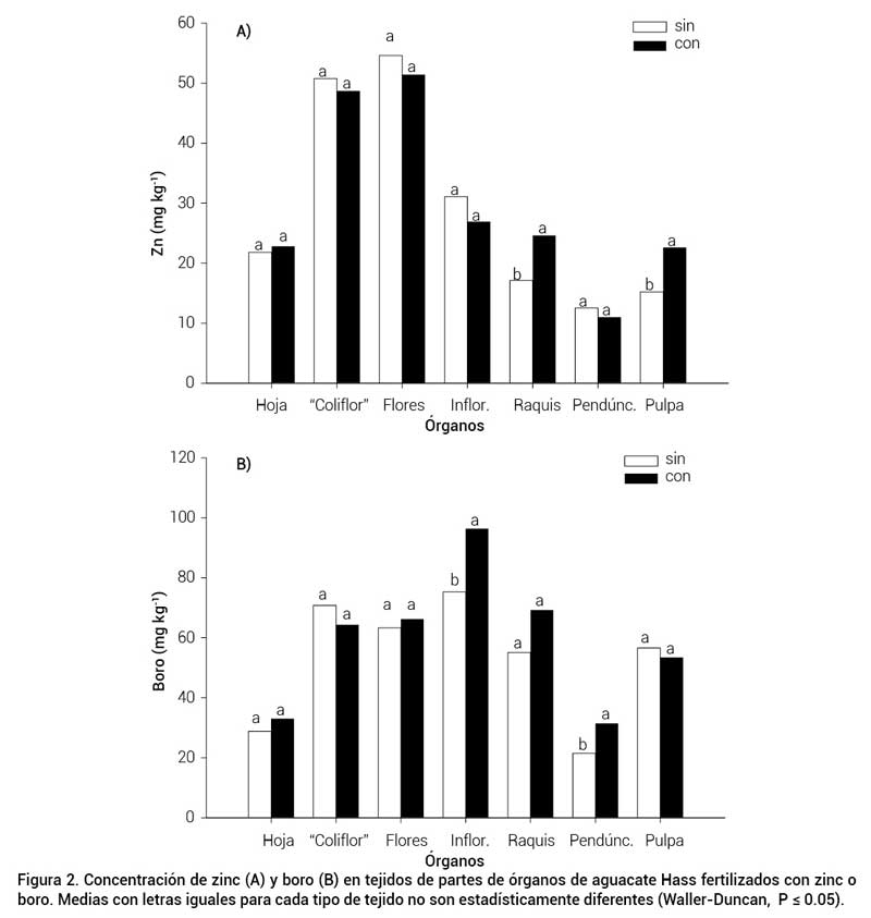 Figura 2. Concentraci&oacute;n de zinc (A) y boro (B) en tejidos de partes de &oacute;rganos de aguacate Hass fertilizados con zinc o boro. Medias con letras iguales para cada tipo de tejido no son estad&iacute;sticamente diferentes (Waller-Duncan, P &le; 0.05).