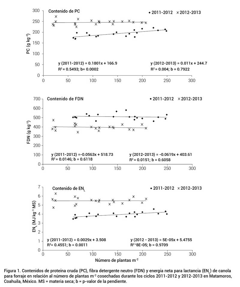 Figura 1. Contenidos de prote&iacute;na cruda (PC), fibra detergente neutro (FDN) y energ&iacute;a neta para lactancia (ENL) de canola para forraje en relaci&oacute;n al n&uacute;mero de plantas m-2 cosechadas durante los ciclos 2011-2012 y 2012-2013 en Matamoros, Coahuila, M&eacute;xico. MS = materia seca; b = p-valor de la pendiente.