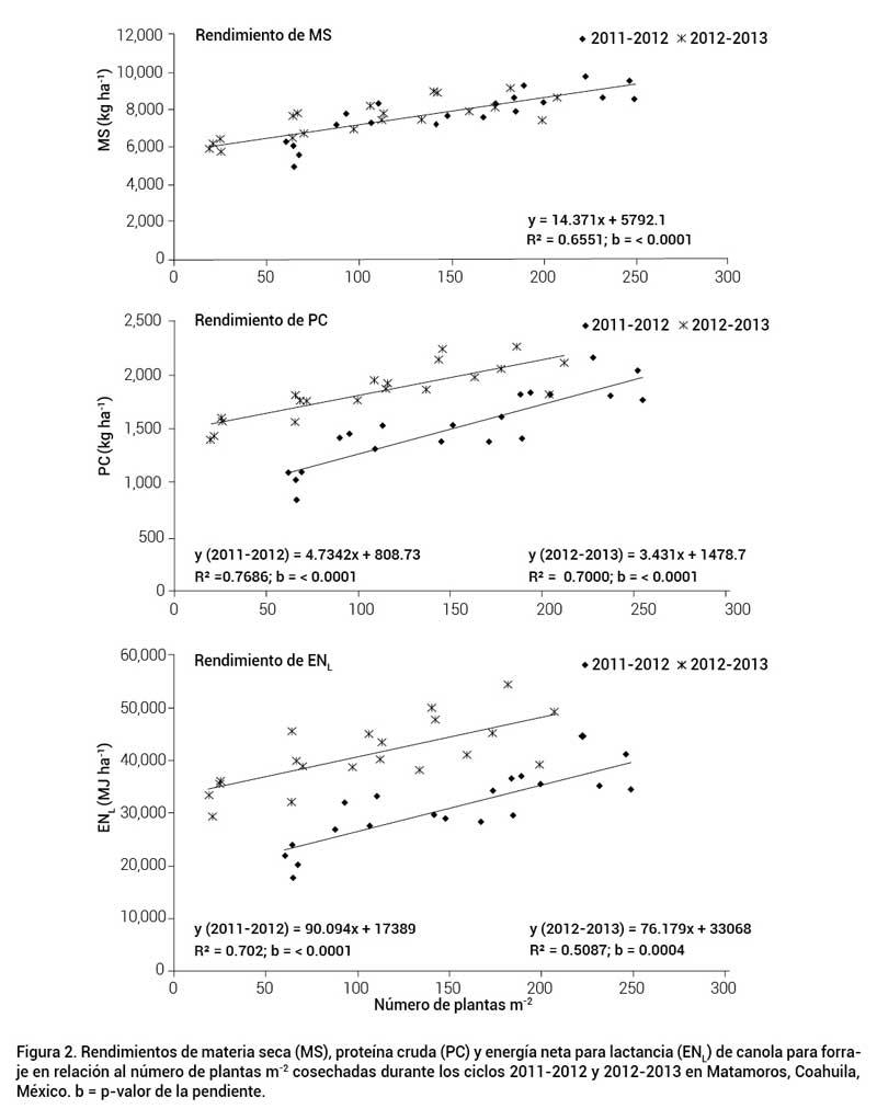 Figura 2. Rendimientos de materia seca (MS), prote&iacute;na cruda (PC) y energ&iacute;a neta para lactancia (ENL) de canola para forraje en relaci&oacute;n al n&uacute;mero de plantas m-2 cosechadas durante los ciclos 2011-2012 y 2012-2013 en Matamoros, Coahuila, M&eacute;xico. b = p-valor de la pendiente.