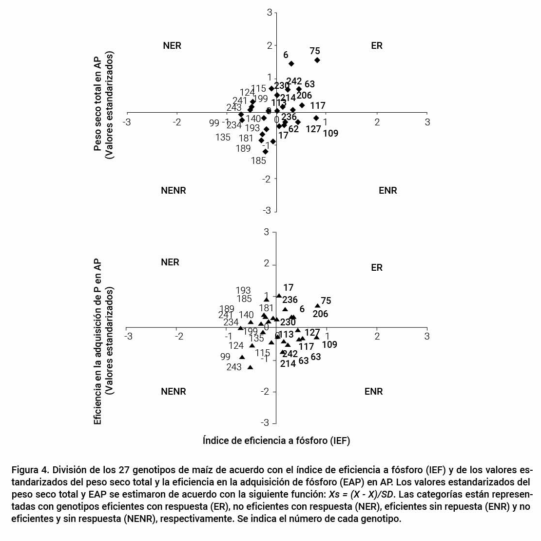 Figura 4. Divisi&oacute;n de los 27 genotipos de ma&iacute;z de acuerdo con el &iacute;ndice de eficiencia a f&oacute;sforo (IEF) y de los valores estandarizados del peso seco total y la eficiencia en la adquisici&oacute;n de f&oacute;sforo (EAP) en AP. Los valores estandarizados del peso seco total y EAP se estimaron de acuerdo con la siguiente funci&oacute;n: Xs = (X - X)/SD. Las categor&iacute;as est&aacute;n representadas con genotipos eficientes con respuesta (ER), no eficientes con respuesta (NER), eficientes sin repuesta (ENR) y no eficientes y sin respuesta (NENR), respectivamente. Se indica el n&uacute;mero de cada genotipo.