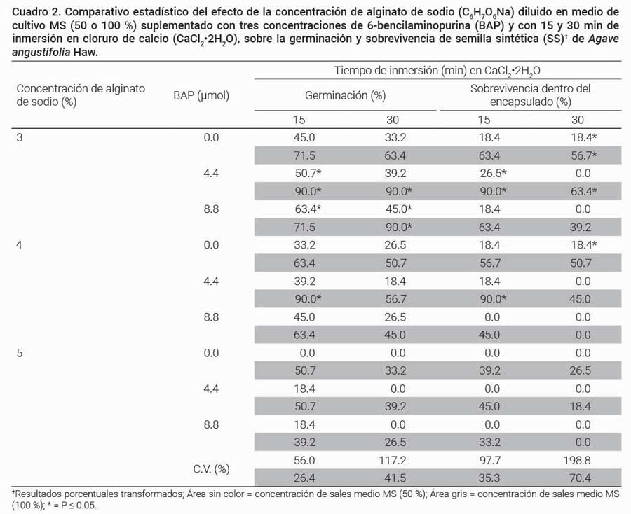 Cuadro 2. Comparativo estadístico del efecto de la concentración de alginato de sodio (C6H7O6Na) diluido en medio de cultivo MS (50 o 100 %) suplementado con tres concentraciones de 6-bencilaminopurina (BAP) y con 15 y 30 min de inmersión en cloruro de calcio (CaCl2•2H2O), sobre la germinación y sobrevivencia de semilla sintética (SS)† de Agave angustifolia Haw.