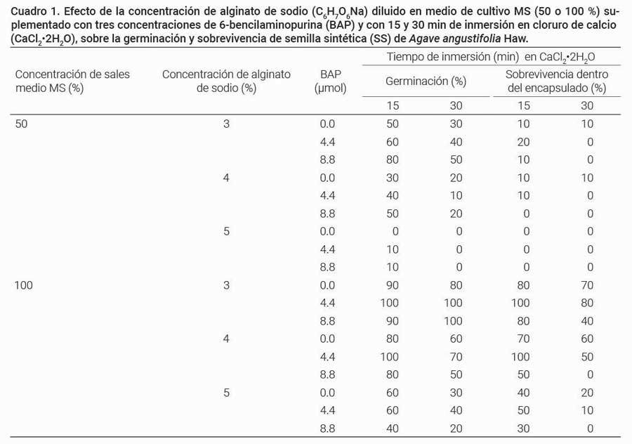 Cuadro 1. Efecto de la concentración de alginato de sodio (C6H7O6Na) diluido en medio de cultivo MS (50 o 100 %) suplementadocon tres concentraciones de 6-bencilaminopurina (BAP) y con 15 y 30 min de inmersión en cloruro de calcio (CaCl2•2H2O), sobre la germinación y sobrevivencia de semilla sintética (SS) de Agave angustifolia Haw.