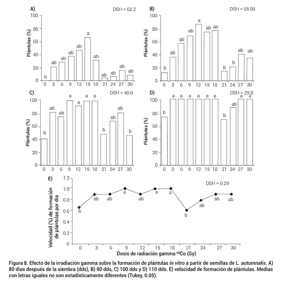 Figura 8. Efecto de la irradiaci&oacute;n gamma sobre la formaci&oacute;n de pl&aacute;ntulas in vitro a partir de semillas de L. autumnalis. A) 80 d&iacute;as despu&eacute;s de la siembra (dds), B) 90 dds, C) 100 dds, D) 110 dds y E) velocidad de formaci&oacute;n de pl&aacute;ntulas. Medias con letras iguales no son estad&iacute;sticamente diferentes (Tukey, 0.05).