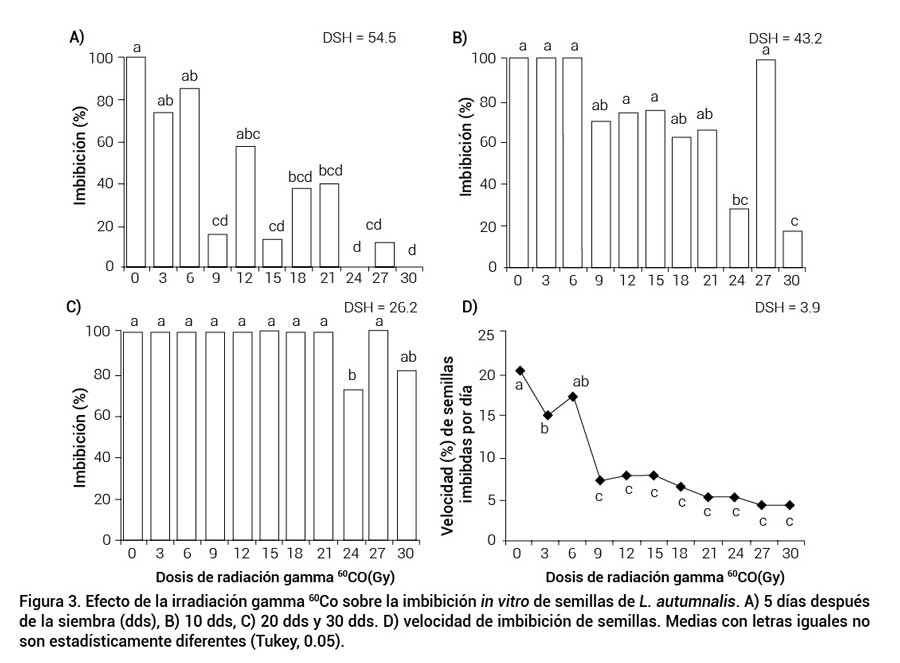 Figura 3. Efecto de la irradiaci&oacute;n gamma 60Co sobre la imbibici&oacute;n in vitro de semillas de L. autumnalis. A) 5 d&iacute;as despu&eacute;s de la siembra (dds), B) 10 dds, C) 20 dds y 30 dds. D) velocidad de imbibici&oacute;n de semillas. Medias con letras iguales no son estad&iacute;sticamente diferentes (Tukey, 0.05).
