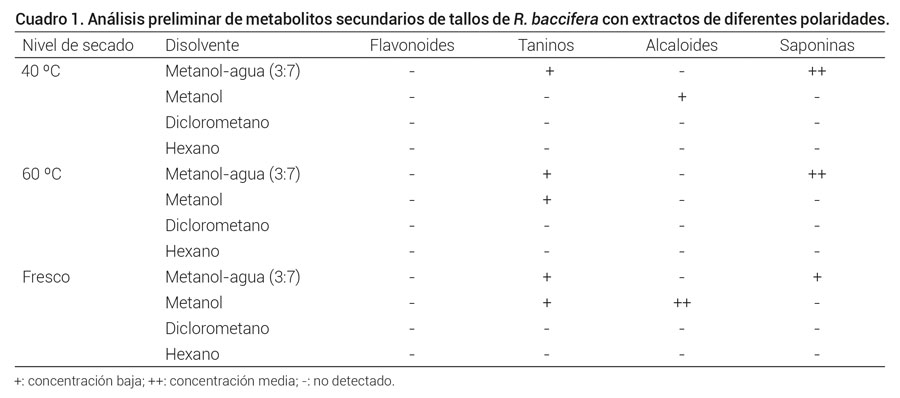 Cuadro 1. Análisis preliminar de metabolitos secundarios de tallos de R. baccifera con extractos de diferentes polaridades.