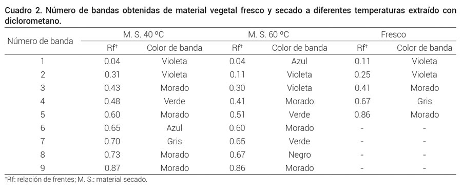 Cuadro 2. Número de bandas obtenidas de material vegetal fresco y secado a diferentes temperaturas extraído condiclorometano.