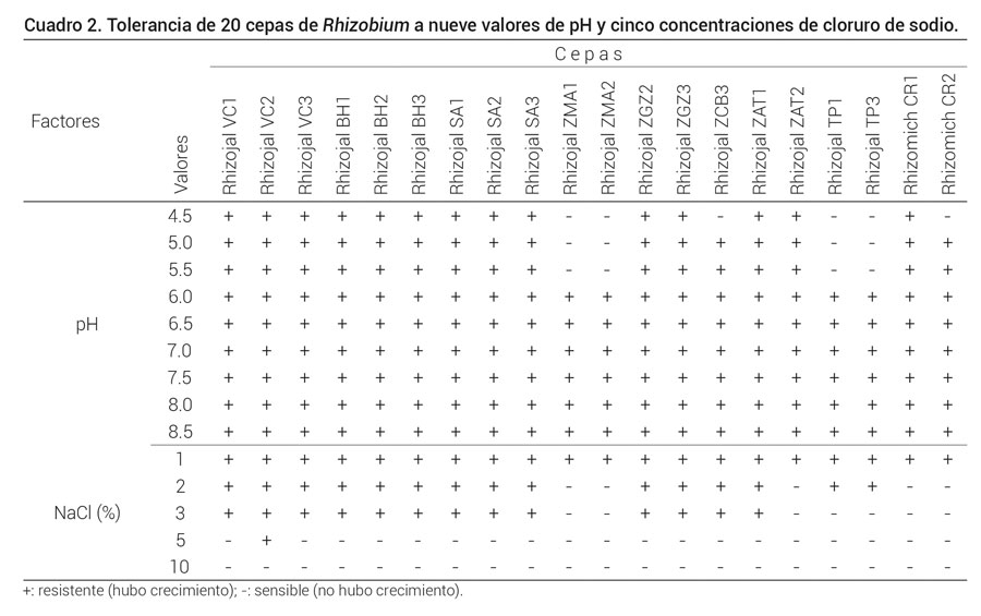 Cuadro 2. Tolerancia de 20 cepas de Rhizobium a nueve valores de pH y cinco concentraciones de cloruro de sodio.