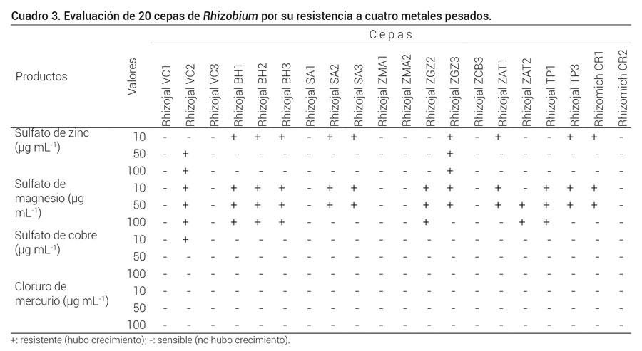 Cuadro 3. Evaluación de 20 cepas de Rhizobium por su resistencia a cuatro metales pesados.