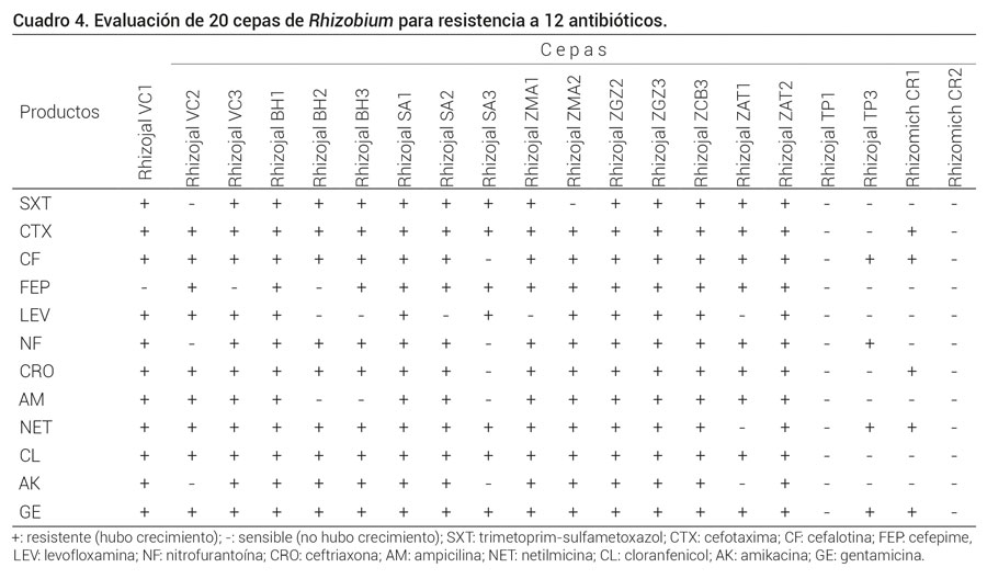 Cuadro 4. Evaluación de 20 cepas de Rhizobium para resistencia a 12 antibióticos. 