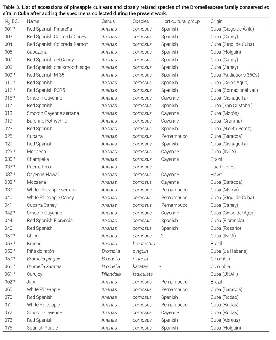Table 3. List of accessions of pineapple cultivars and closely related species of the Bromelieaceae family conserved ex situ in Cuba after adding the specimens collected during the present work. 