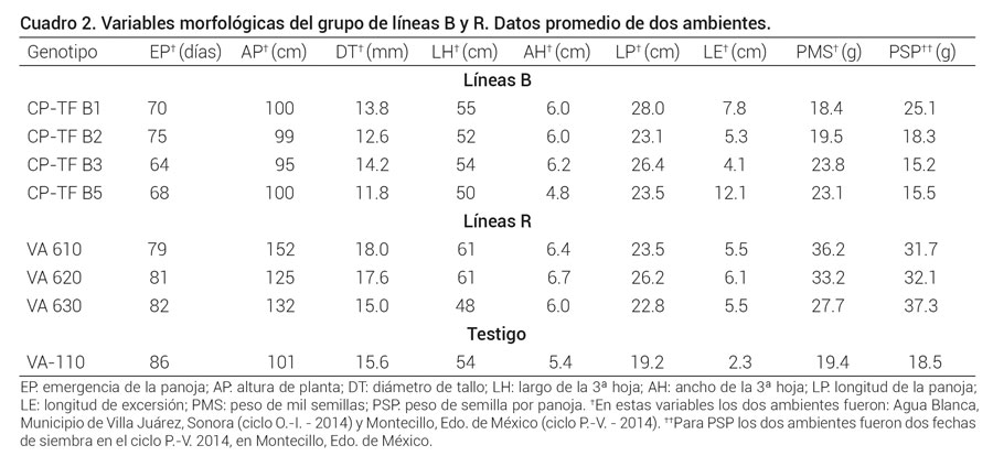 Cuadro 2. Variables morfol&oacute;gicas del grupo de l&iacute;neas B y R. Datos promedio de dos ambientes.
