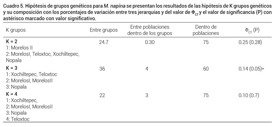 Cuadro 5. Hipótesis de grupos genéticos para M. napina se presentan los resultados de las hipótesis de K grupos genéticos y su composición con los porcentajes de variación entre tres jerarquías y del valor de ΦCT y el valor de significancia (P) con asterisco marcado con valor significativo.