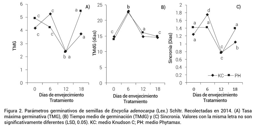 Figura 4. Micrograf&iacute;a electr&oacute;nica de barrido de la superficie de semillas de Encyclia adenocarpa (Lex.) Schltr. A) Testigo,B) Envejecidas por 6 d, C) Envejecidas por 12 d, D) Envejecidas por 18 d y E) Envejecidas por 7 a&ntilde;os en banco de semillas.