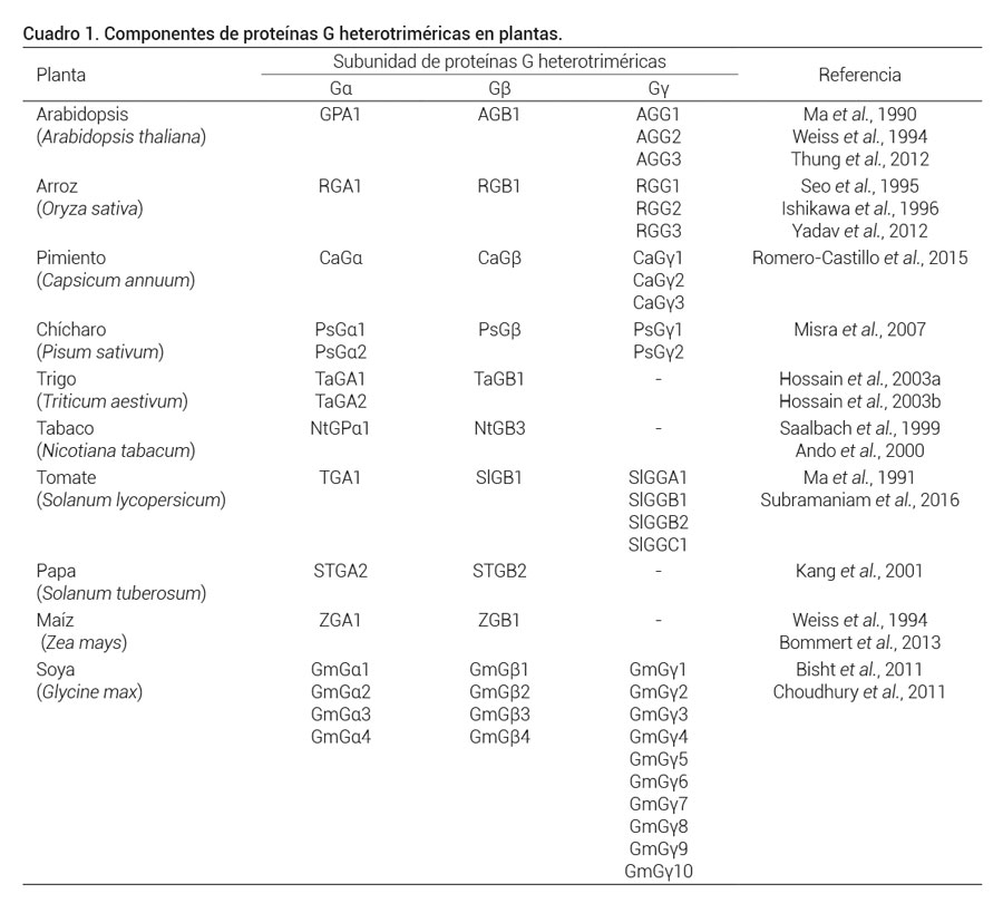 Cuadro 1. Componentes de prote&iacute;nas G heterotrim&eacute;ricas en plantas.