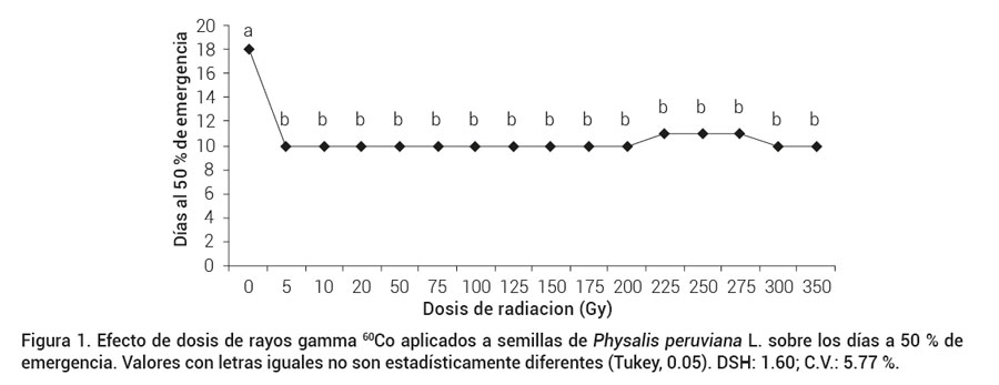 Figura 1. Efecto de dosis de rayos gamma 60Co aplicados a semillas de Physalis peruviana L. sobre los días a 50 % de emergencia. Valores con letras iguales no son estadísticamente diferentes (Tukey, 0.05). DSH: 1.60; C.V.: 5.77 %.