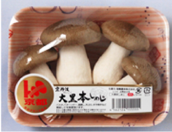 Commercially cultivated L. shimeji fruit bodies packaged for sale. The image is downloaded from: https://agribio.takara-bio.co.jp/kinoko/product/daikoku/index.html.