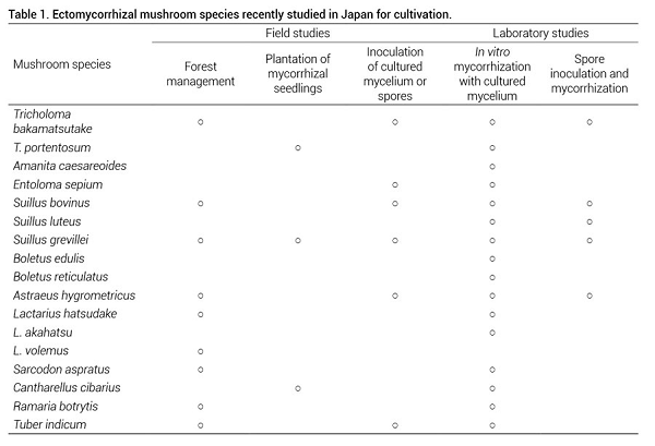 Ectomycorrhizal mushroom species recently studied in Japan for cultivation.