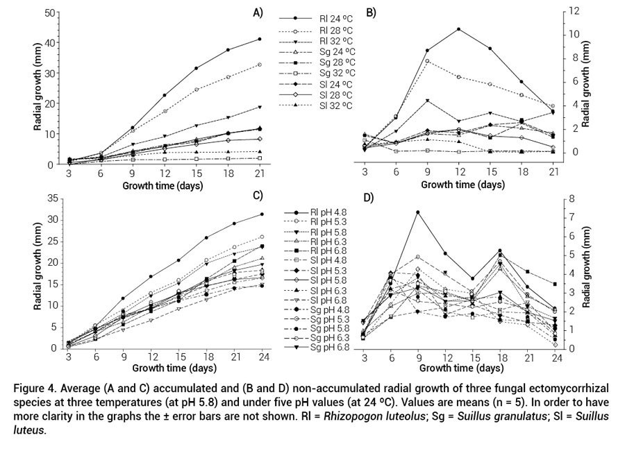 Figure 4. Average (A and C) accumulated and (B and D) non-accumulated radial growth of three fungal ectomycorrhizal species at three temperatures (at pH 5.8) and under five pH values (at 24 ºC). Values are means (n = 5). In order to have more clarity in the graphs the ± error bars are not shown. Rl = Rhizopogon luteolus; Sg = Suillus granulatus; Sl = Suillus luteus.