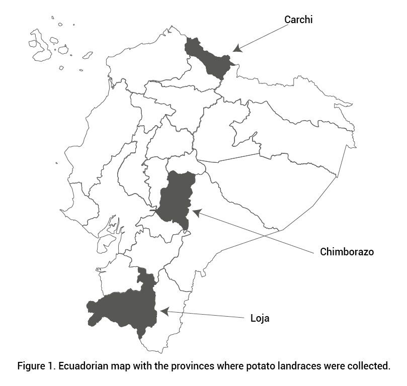 Figure 1. Ecuadorian map with the provinces where potato landraces were collected.