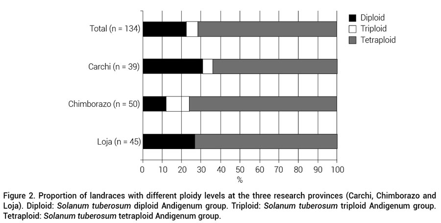 Figure 2. Proportion of landraces with different ploidy levels at the three research provinces (Carchi, Chimborazo and Loja). Diploid: Solanum tuberosum diploid Andigenum group. Triploid: Solanum tuberosum triploid Andigenum group.Tetraploid: Solanum tuberosum tetraploid Andigenum group.